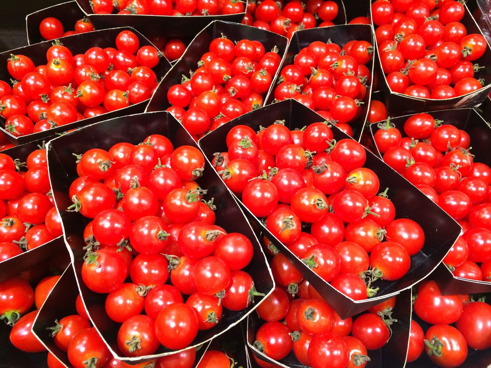 iPhone 5s back camera 4.15mm f/2.2 sample photo. Mini tomato, orange, red photography