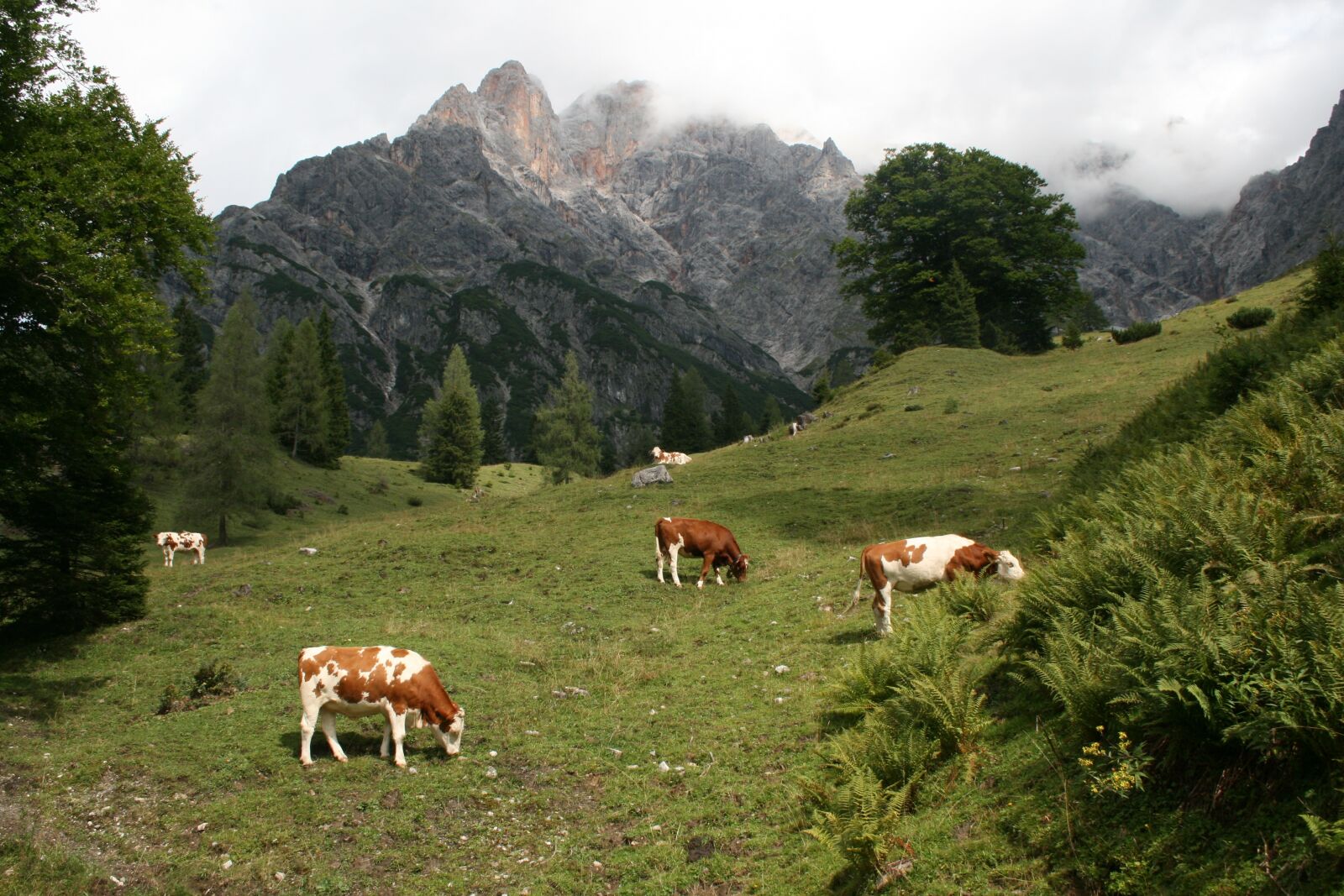 Canon EOS 400D (EOS Digital Rebel XTi / EOS Kiss Digital X) sample photo. Mountains, austria, hinterthal photography