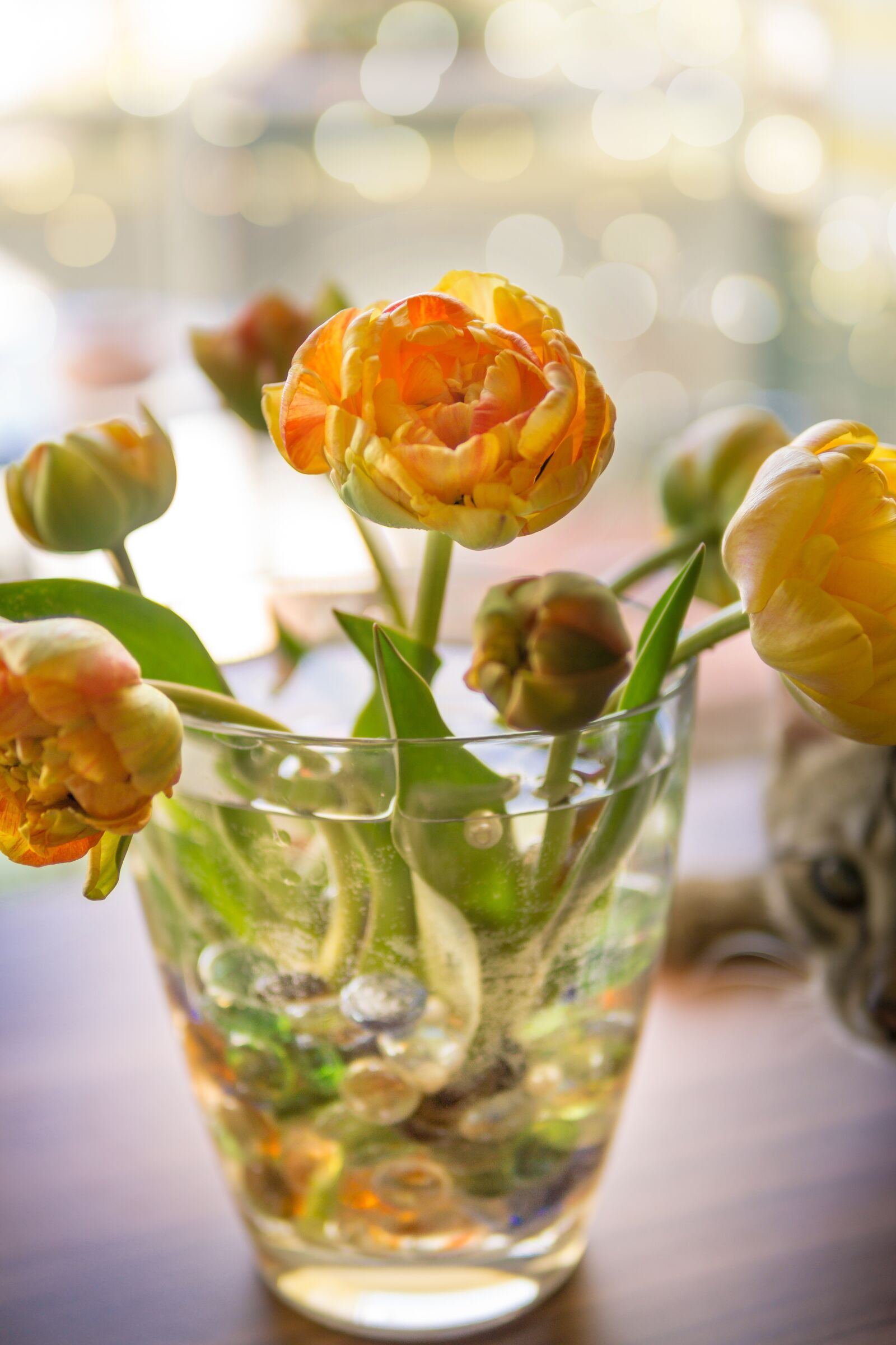 30mm F1.4 DC DN | Contemporary 016 sample photo. Tulips, flower, spring photography