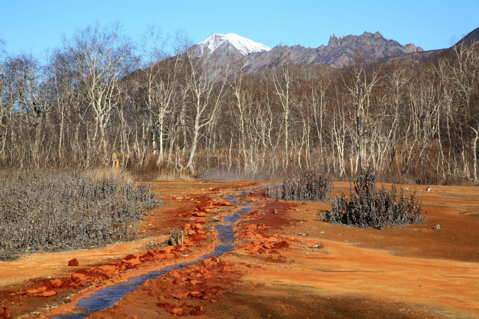Canon EOS 5D sample photo. Hot spring, forest, mountains photography