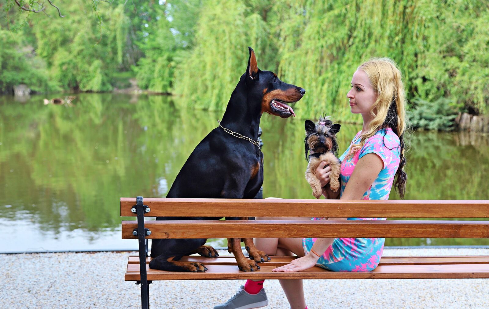 Canon EOS 6D Mark II sample photo. Doberman, blonde woman, dogs photography