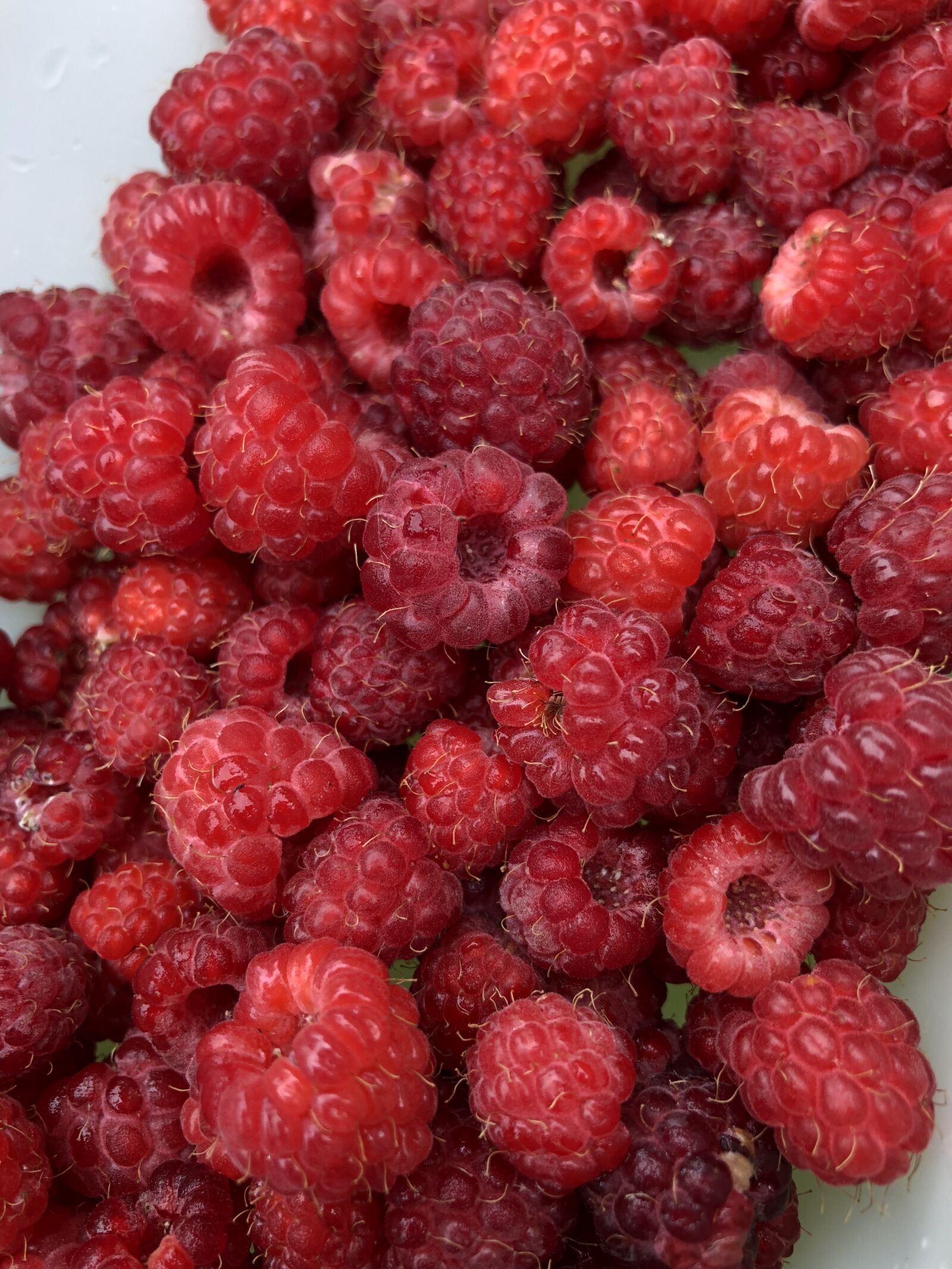iPhone X back dual camera 4mm f/1.8 sample photo. Raspberry, framboesa, nature photography