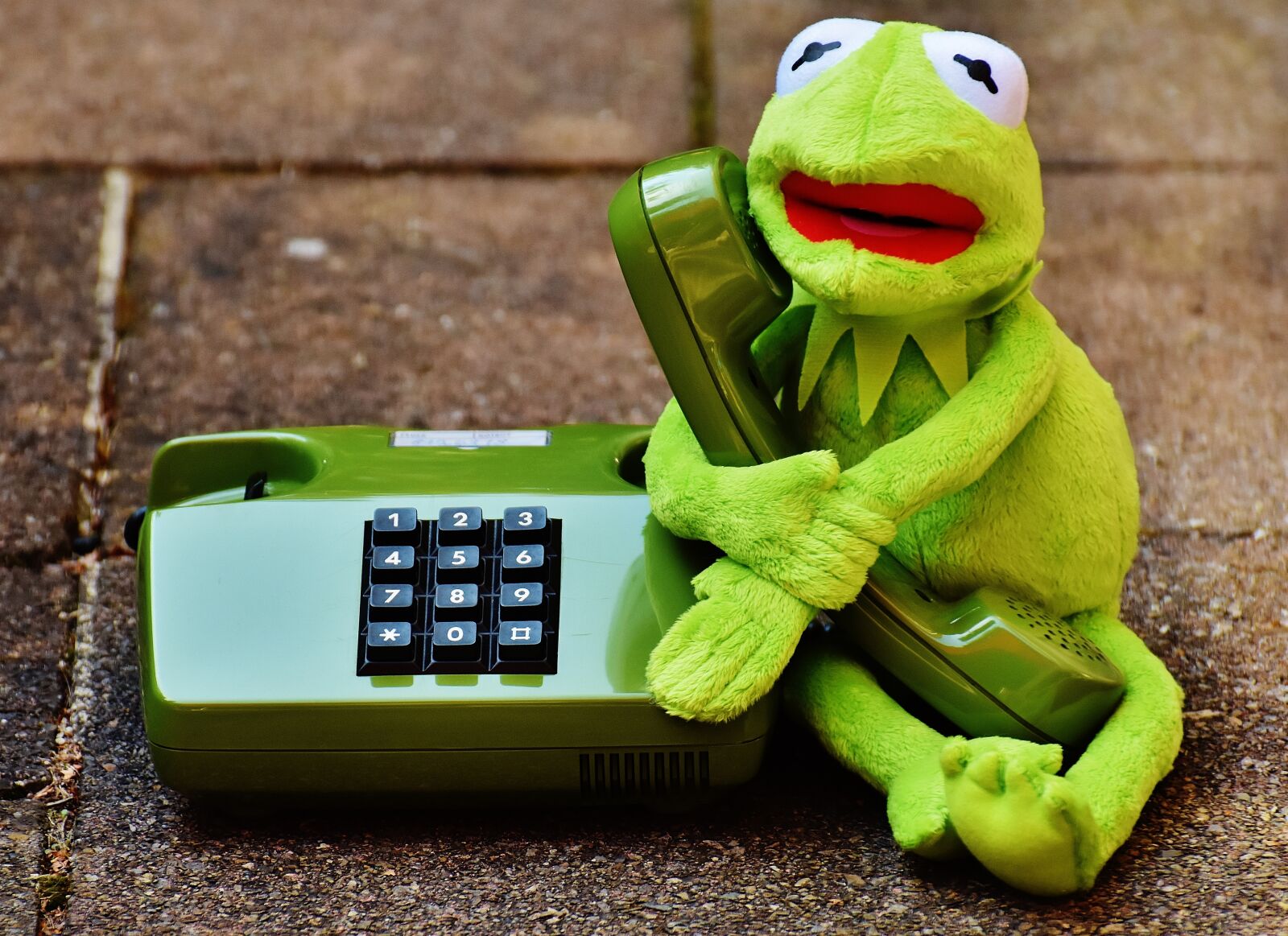 Nikon D7200 sample photo. Kermit, frog, phone photography