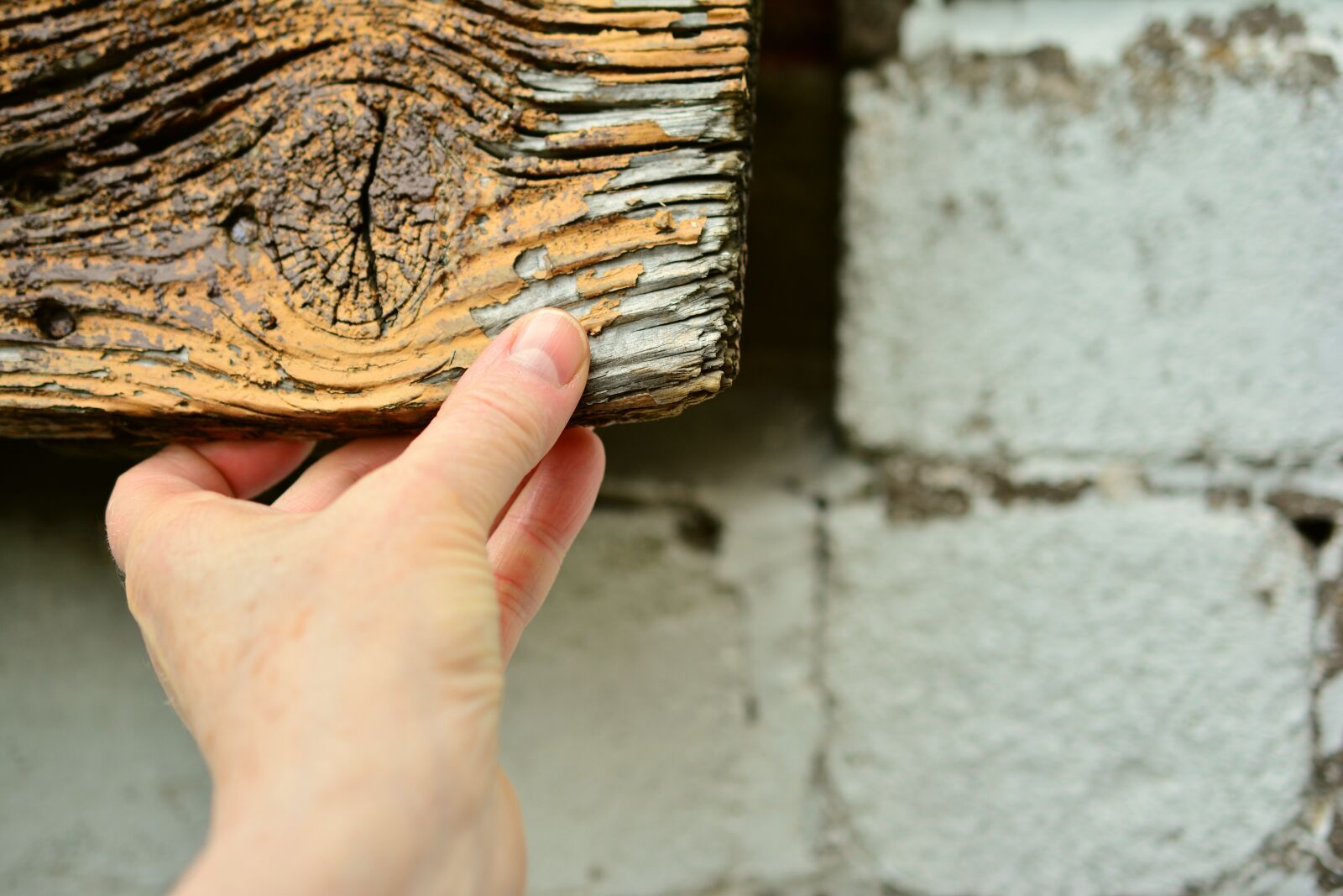 Nikon D5200 sample photo. Flap, shut up, hand photography