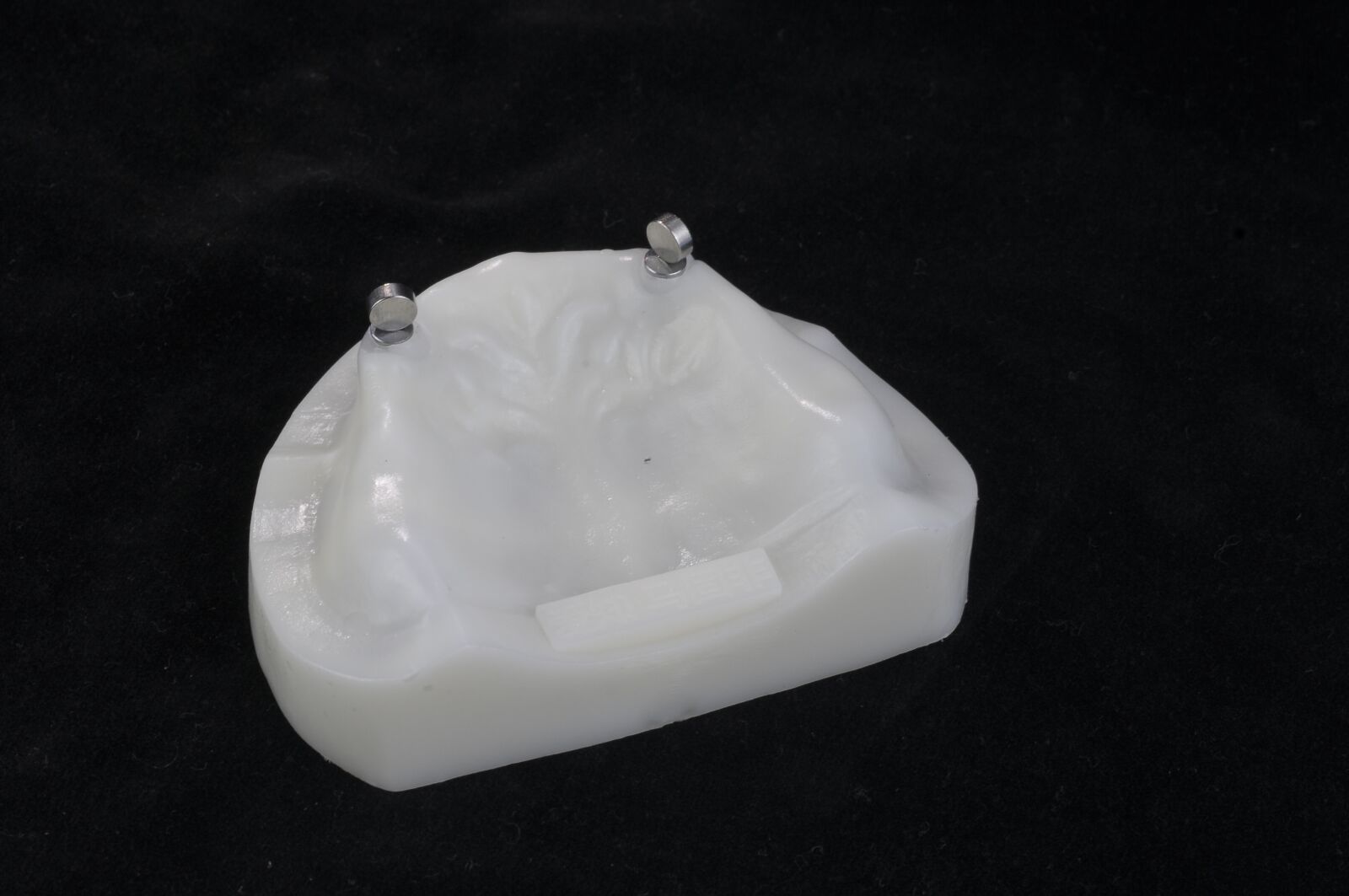 Nikon D300 sample photo. Teeth, gypsum photography