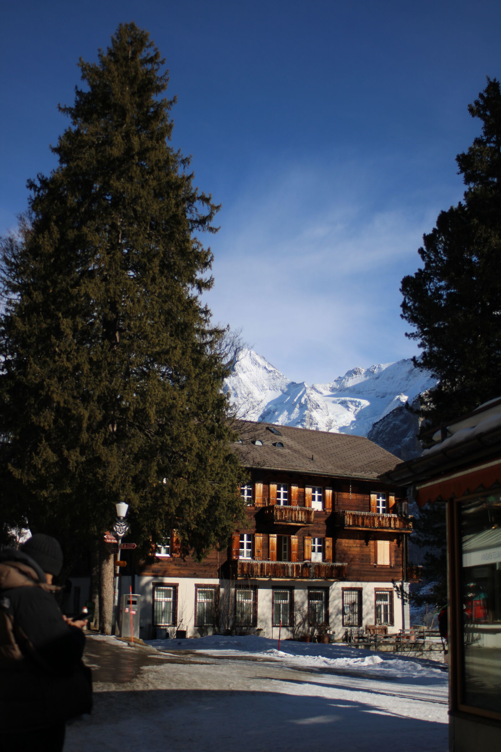 Canon EOS 2000D (EOS Rebel T7 / EOS Kiss X90 / EOS 1500D) sample photo. Murren photography