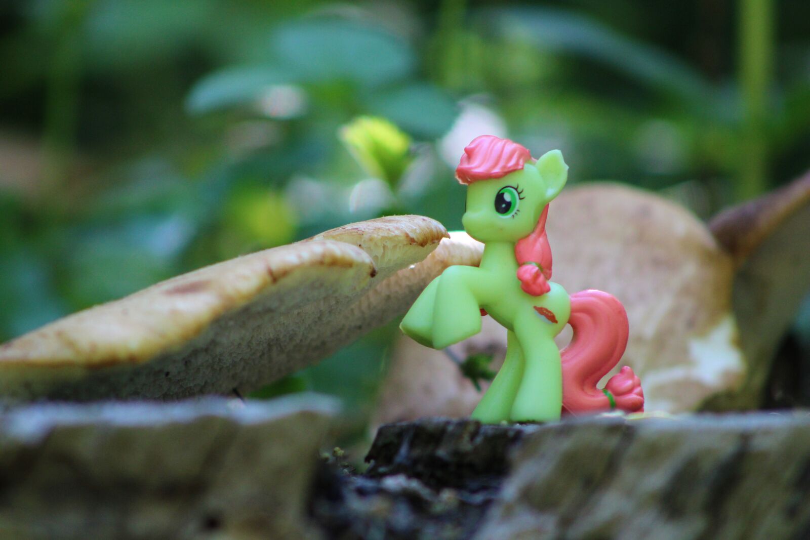 Canon EF75-300mm f/4-5.6 sample photo. My little pony, toys photography
