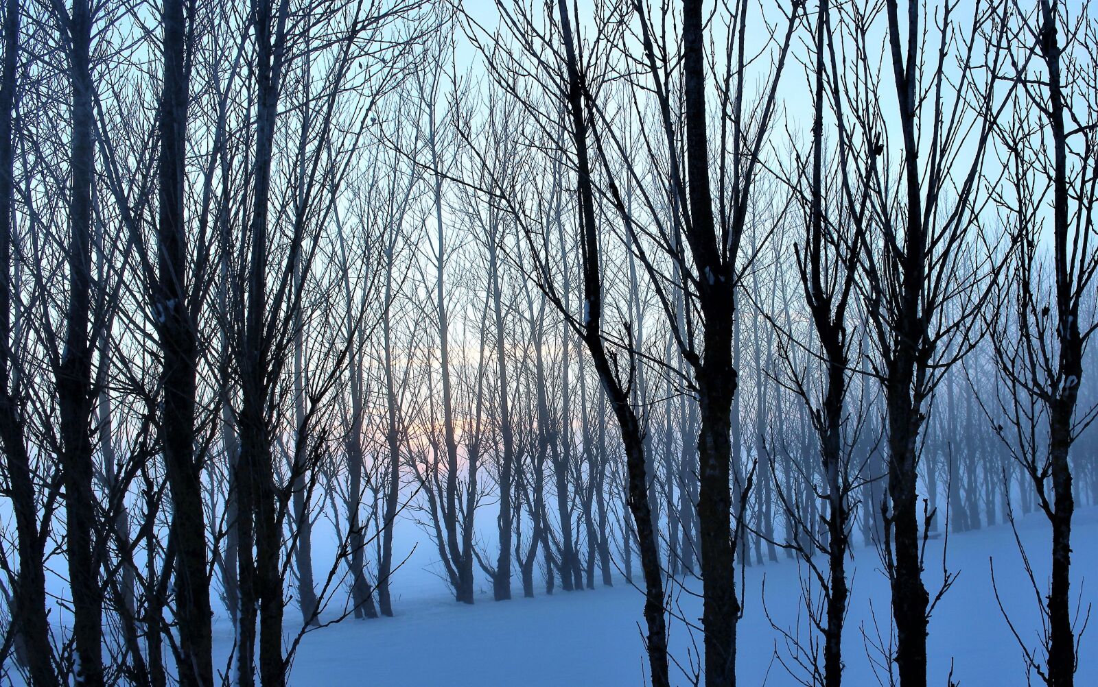 Canon EOS 700D (EOS Rebel T5i / EOS Kiss X7i) sample photo. Mist, hazy, winter photography