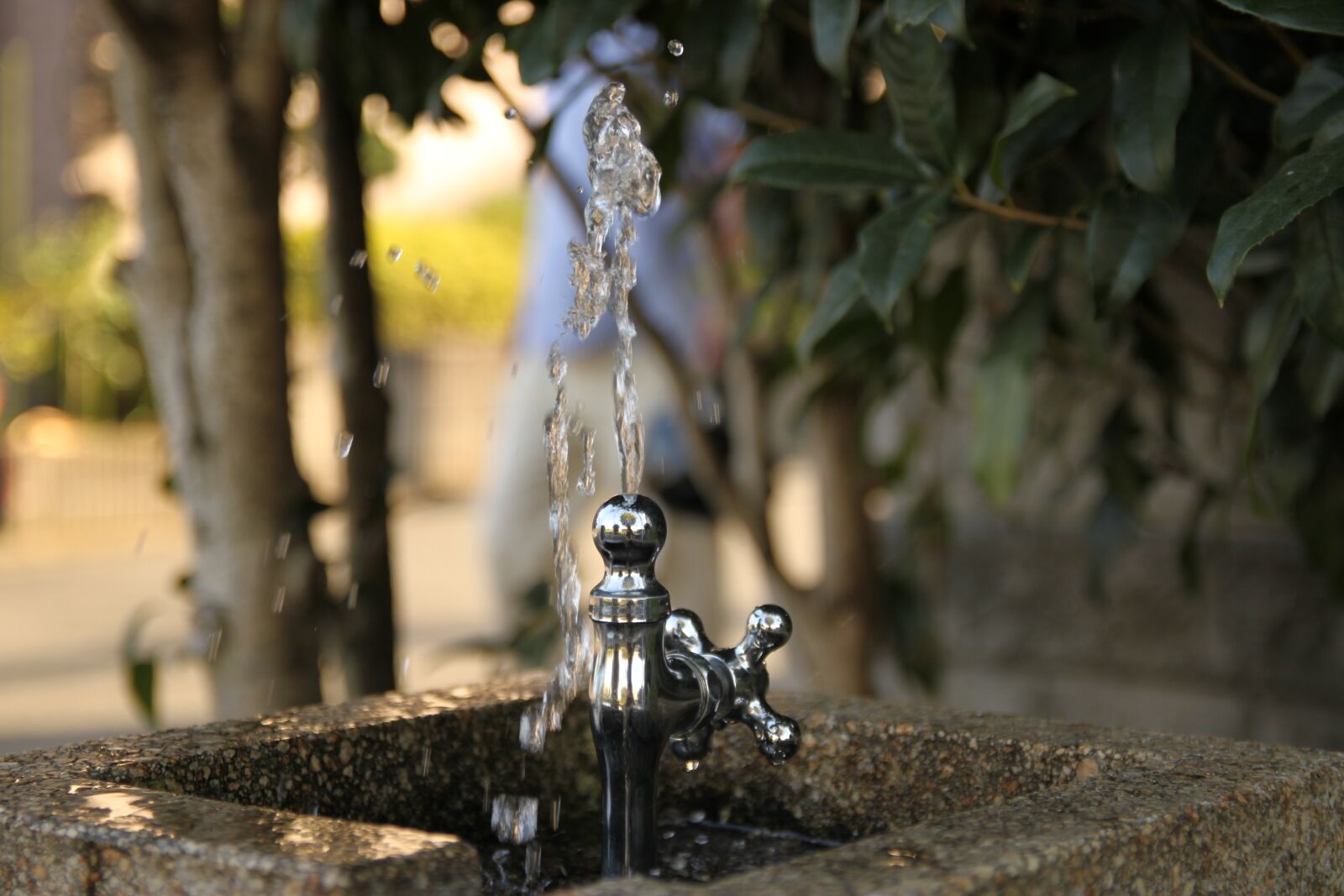 Canon EOS 500D (EOS Rebel T1i / EOS Kiss X3) sample photo. Faucet, park, water photography