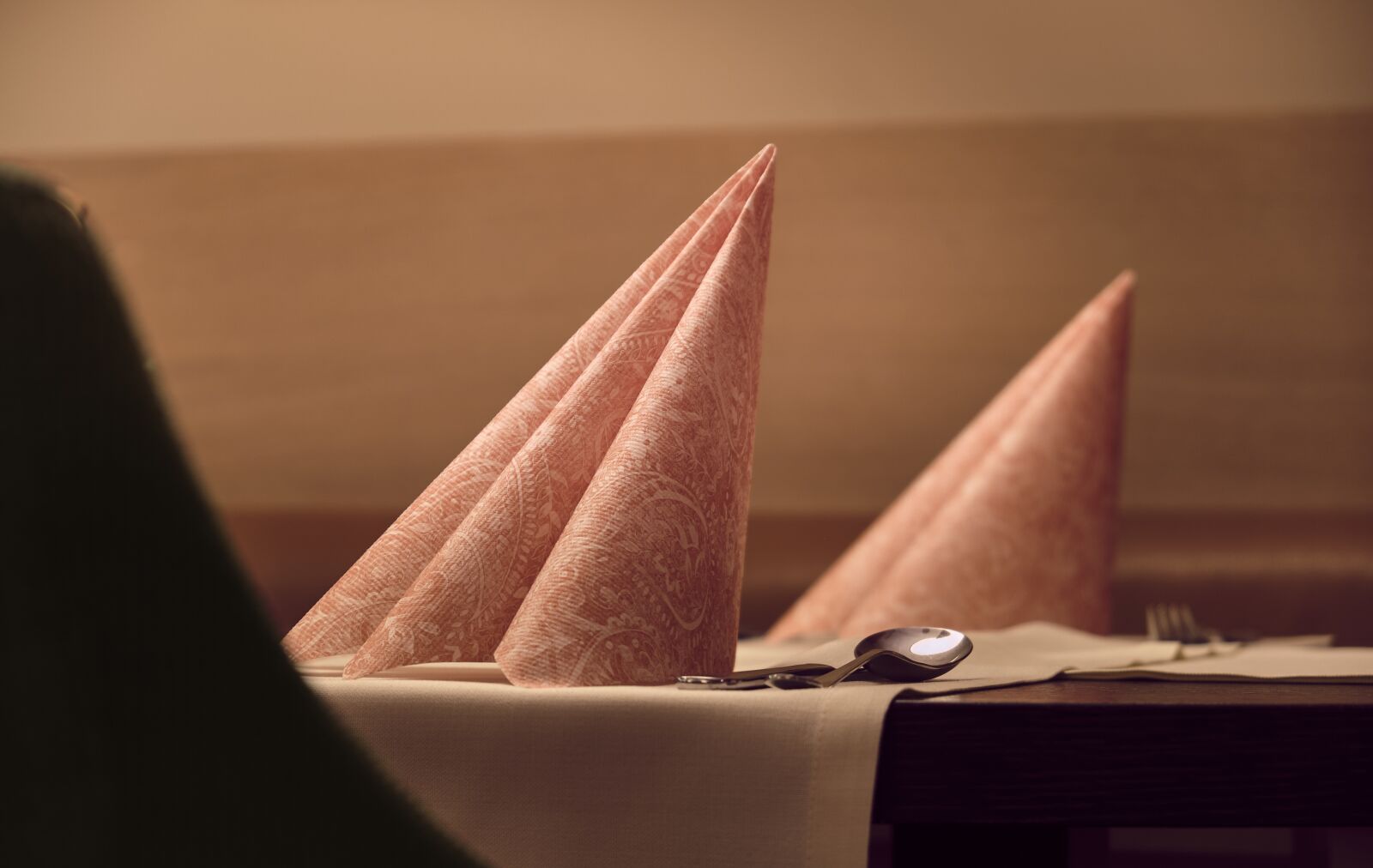 Fujifilm XF 18-55mm F2.8-4 R LM OIS sample photo. Napkin, cover, restaurant photography