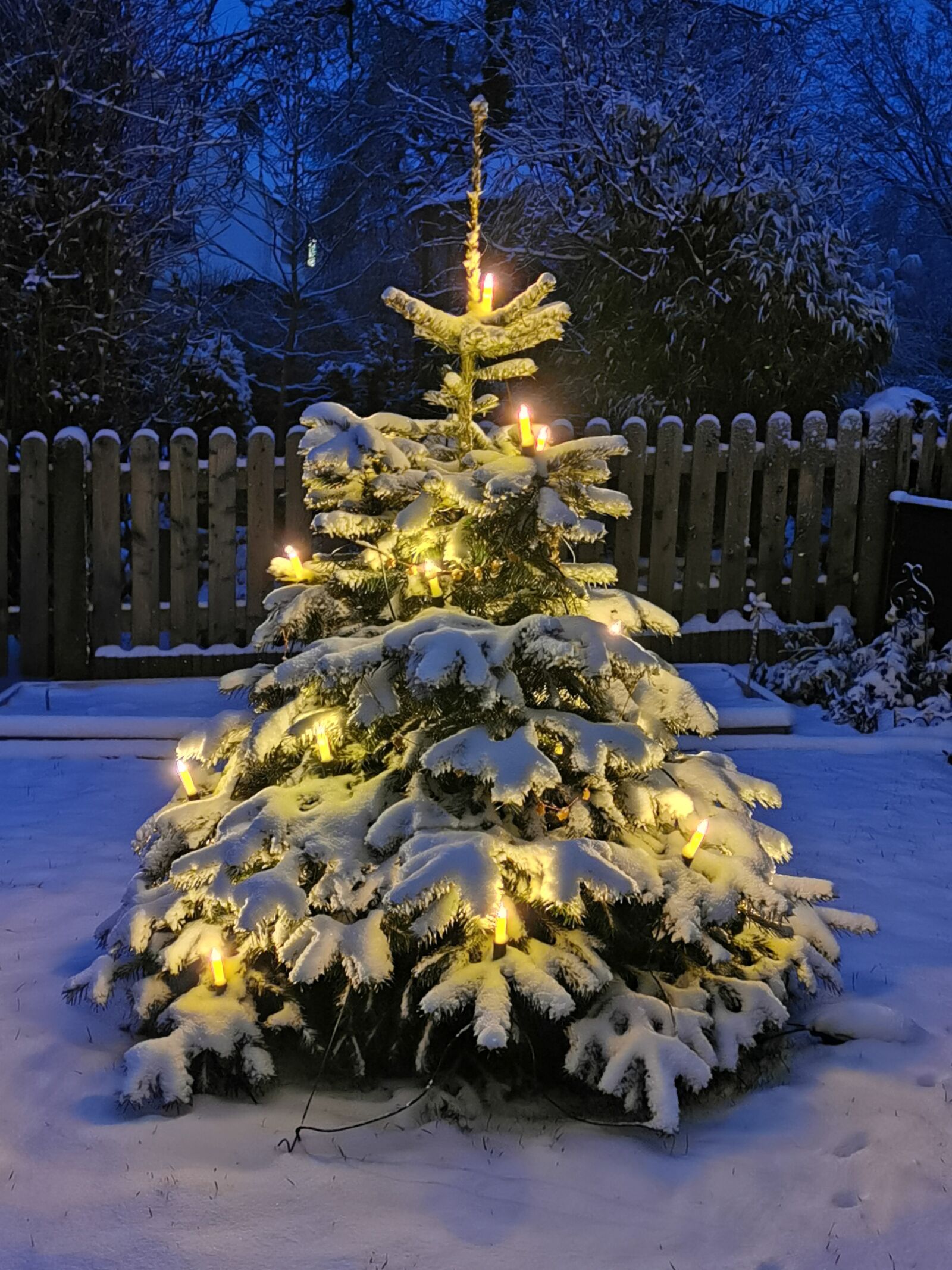 HUAWEI VOG-L29 sample photo. Christmas, fir tree, snow photography