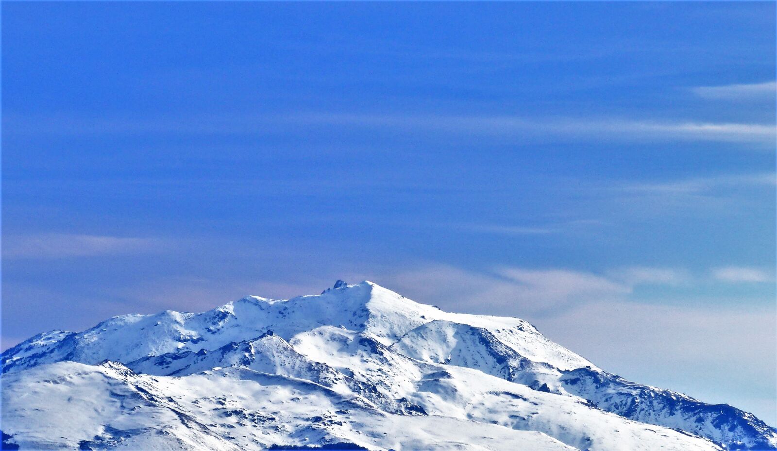 Panasonic Lumix DMC-FZ200 sample photo. Snow, winter, nature photography