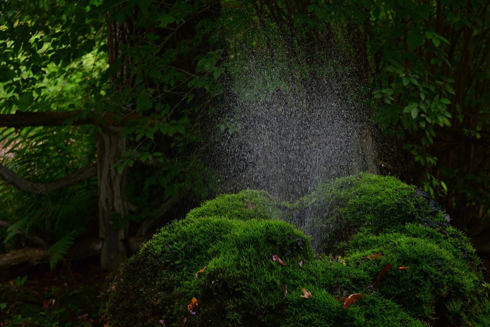 Nikon D5200 sample photo. Nature, fountain, water feature photography