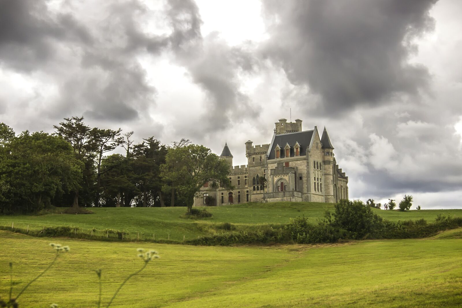 Canon EOS 70D sample photo. Landscape, lawn, tree, architecture photography