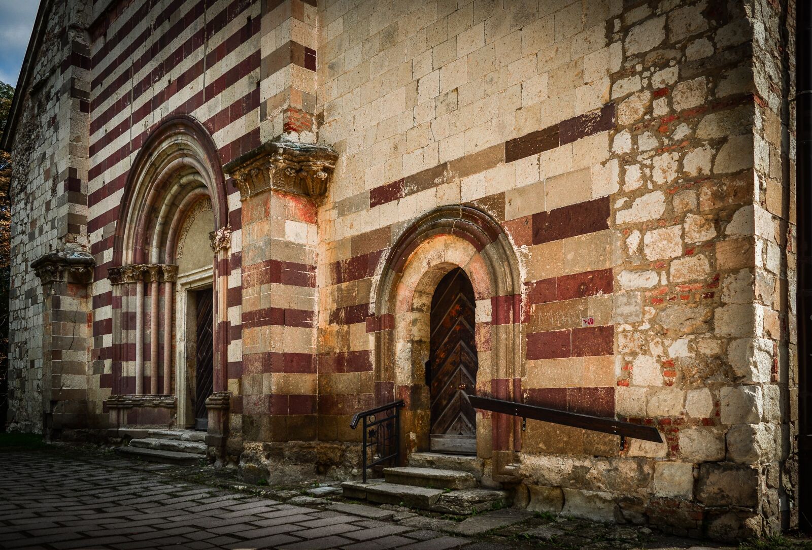 Nikon D3200 sample photo. Abbey, b lap tfalva photography