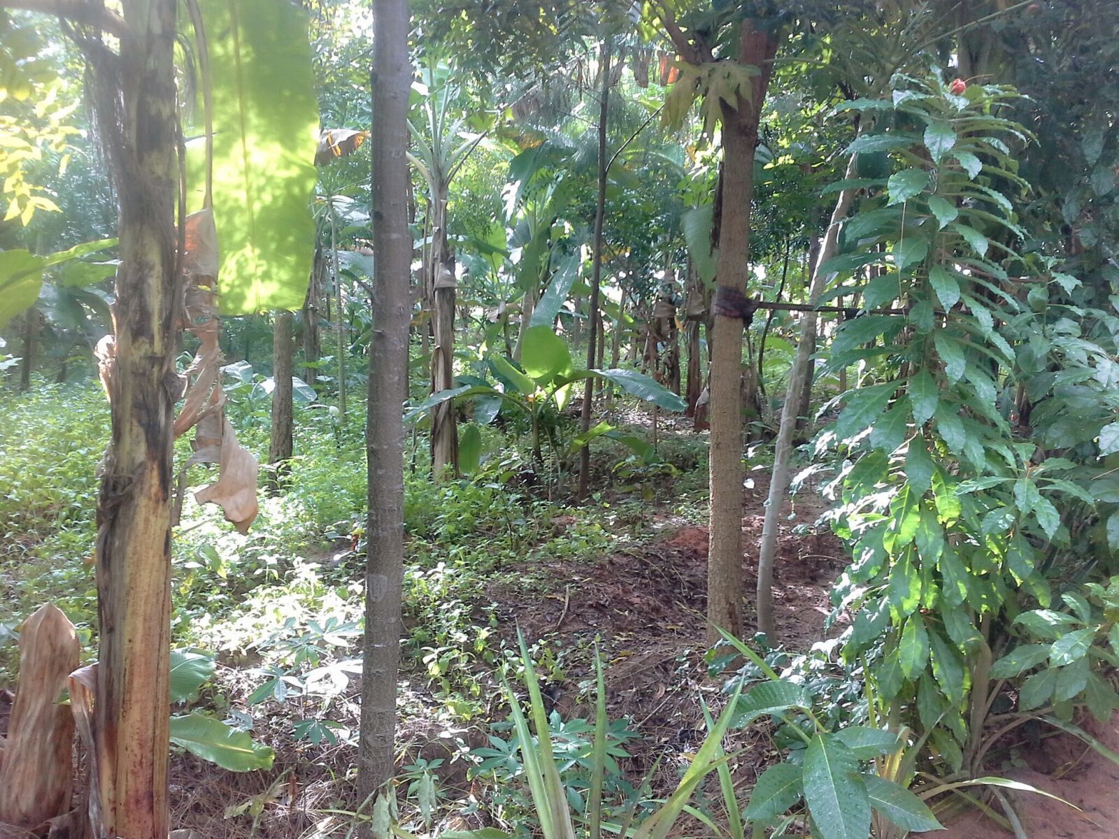 Samsung Galaxy Note 10.1 sample photo
