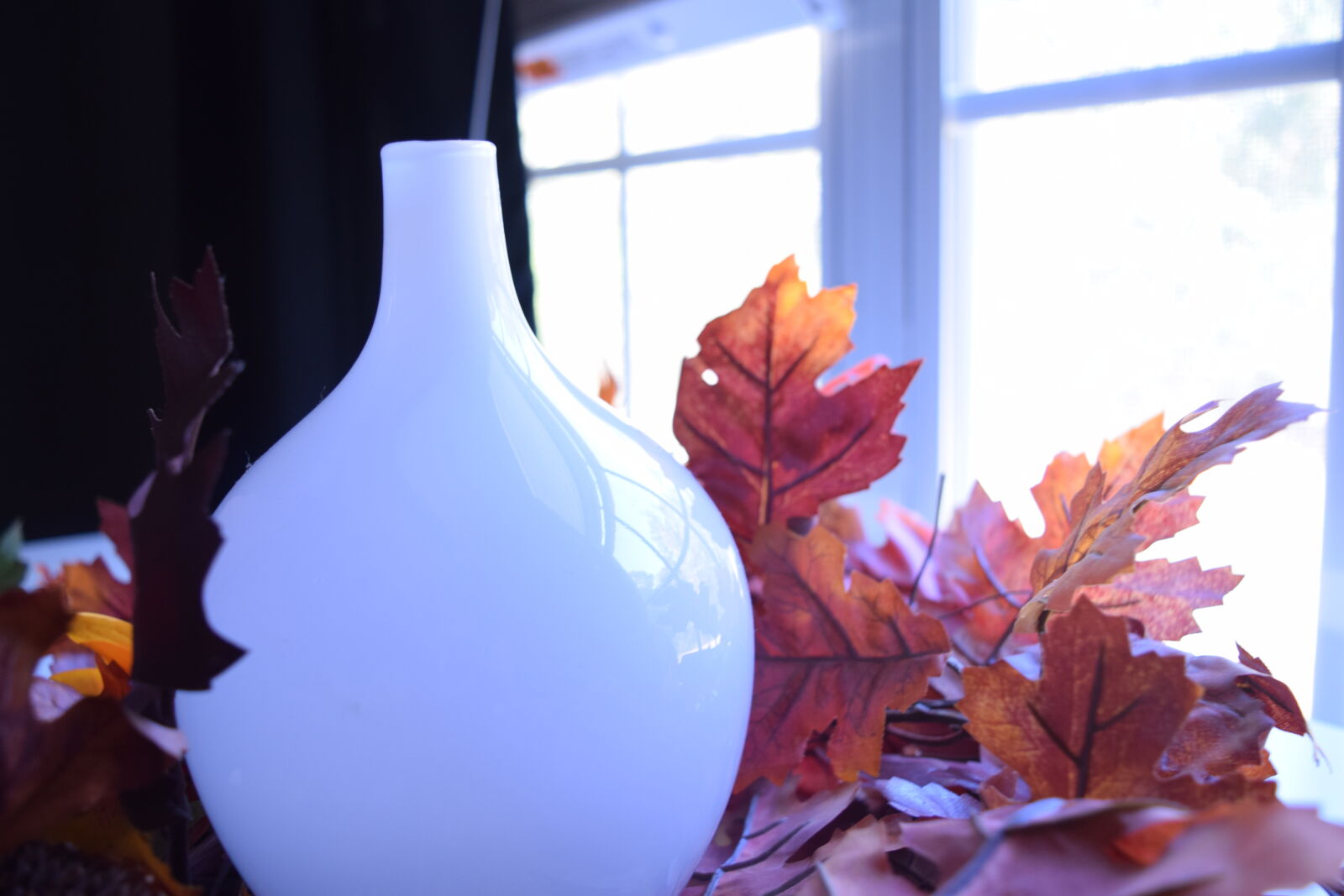 Nikon D3300 sample photo. Autumn, fall, leaves, vase photography