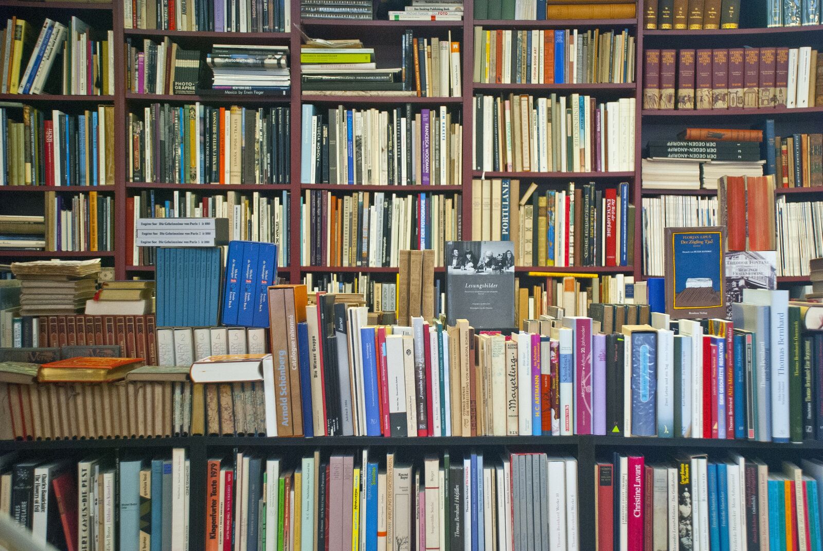 Nikon D40X sample photo. Books, antiquariat, shelf photography