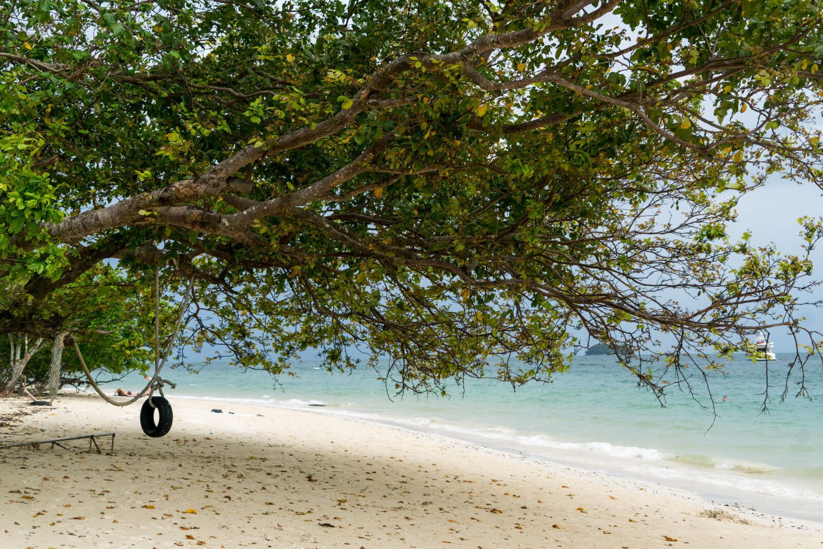 Sony a7R II + Sony FE 24-240mm F3.5-6.3 OSS sample photo. Phuket, thailand, phi phi photography