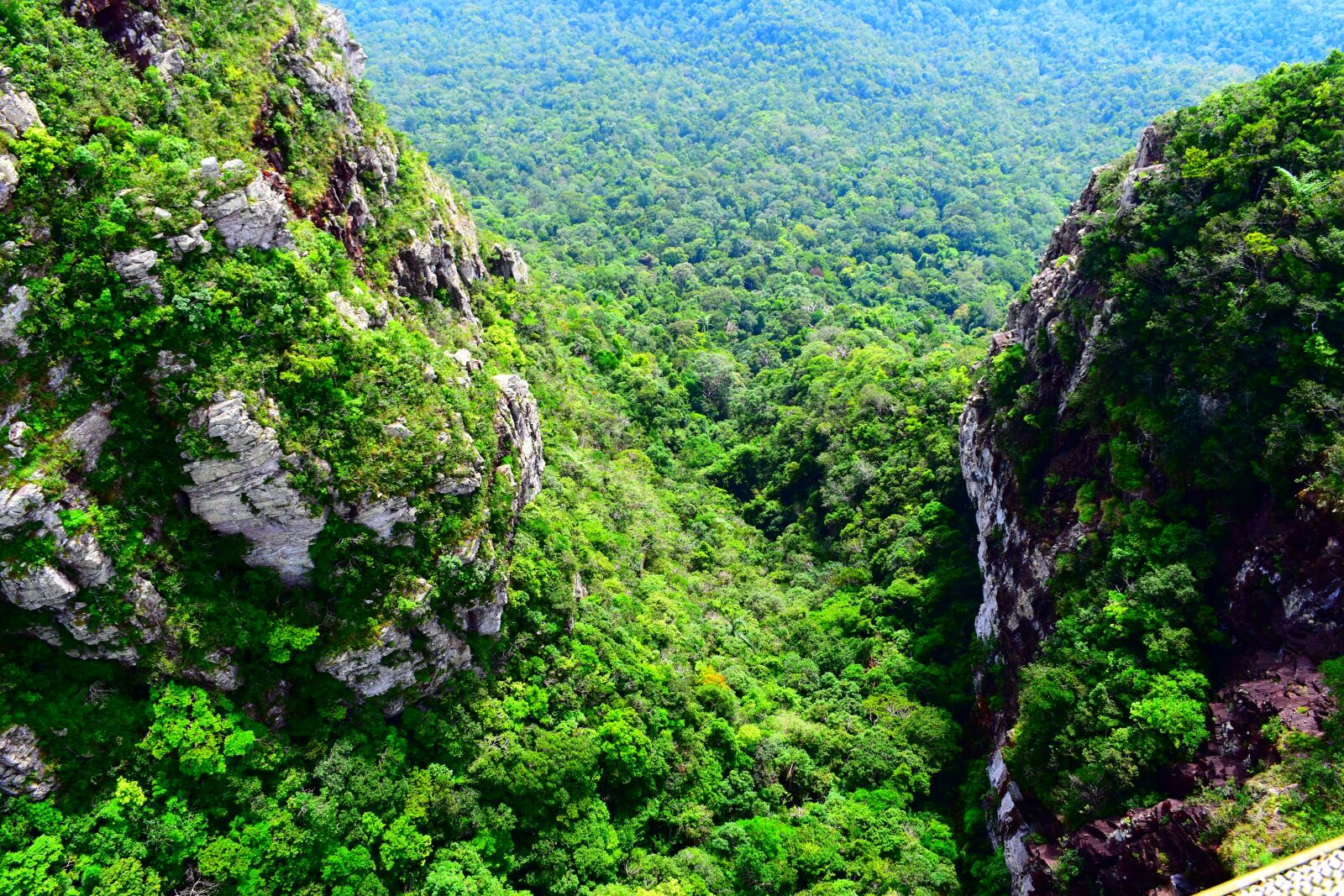 Nikon D5500 sample photo. Mountain, green, nature photography