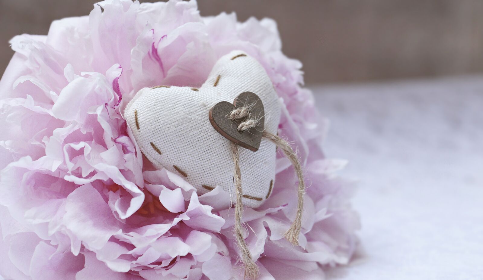 Canon EOS 100D (EOS Rebel SL1 / EOS Kiss X7) sample photo. Peony, heart, linen heart photography