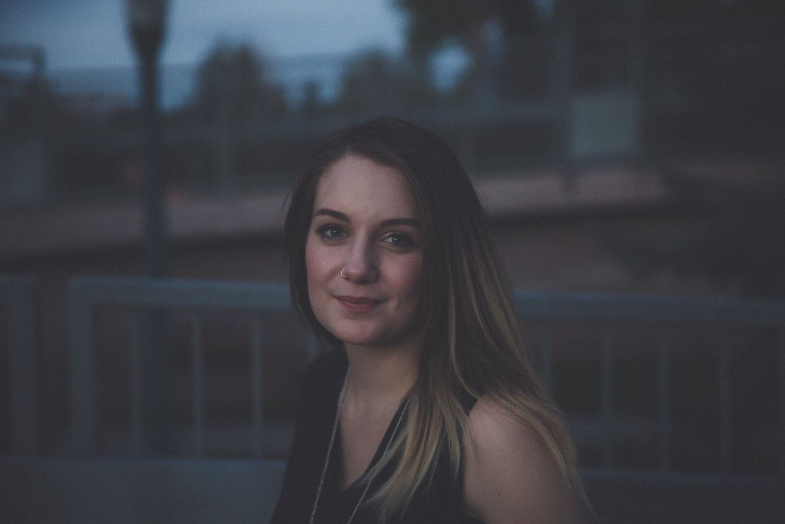 Canon EF 24-70mm F2.8L II USM sample photo. Adult, blur, brunette, dress photography