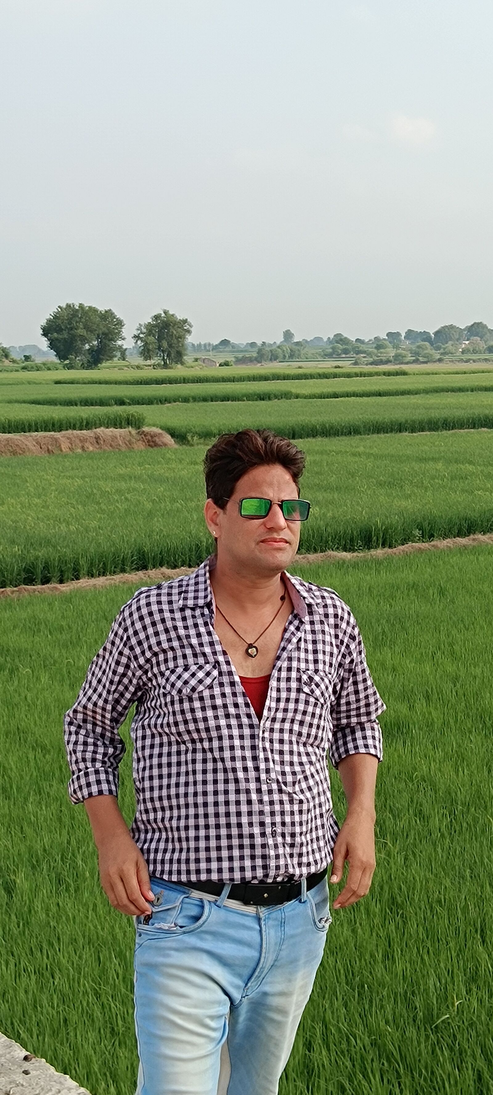 vivo Y56 5G sample photo