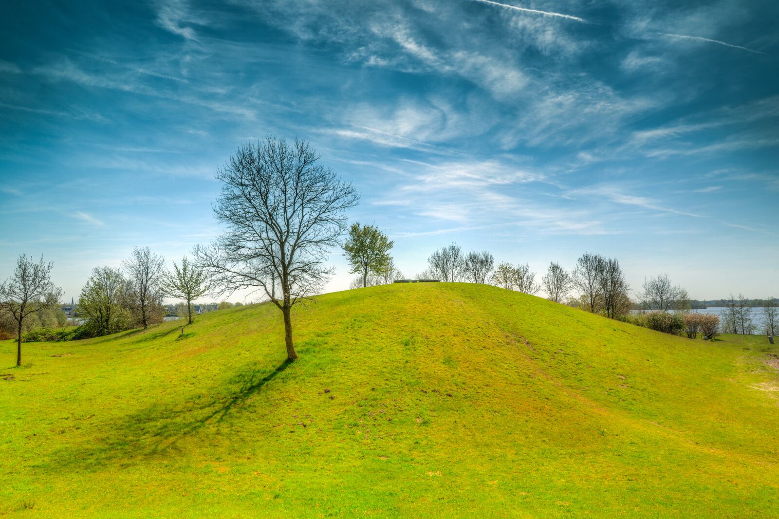 Nikon D610 sample photo. Tree, panoramic, landscape photography