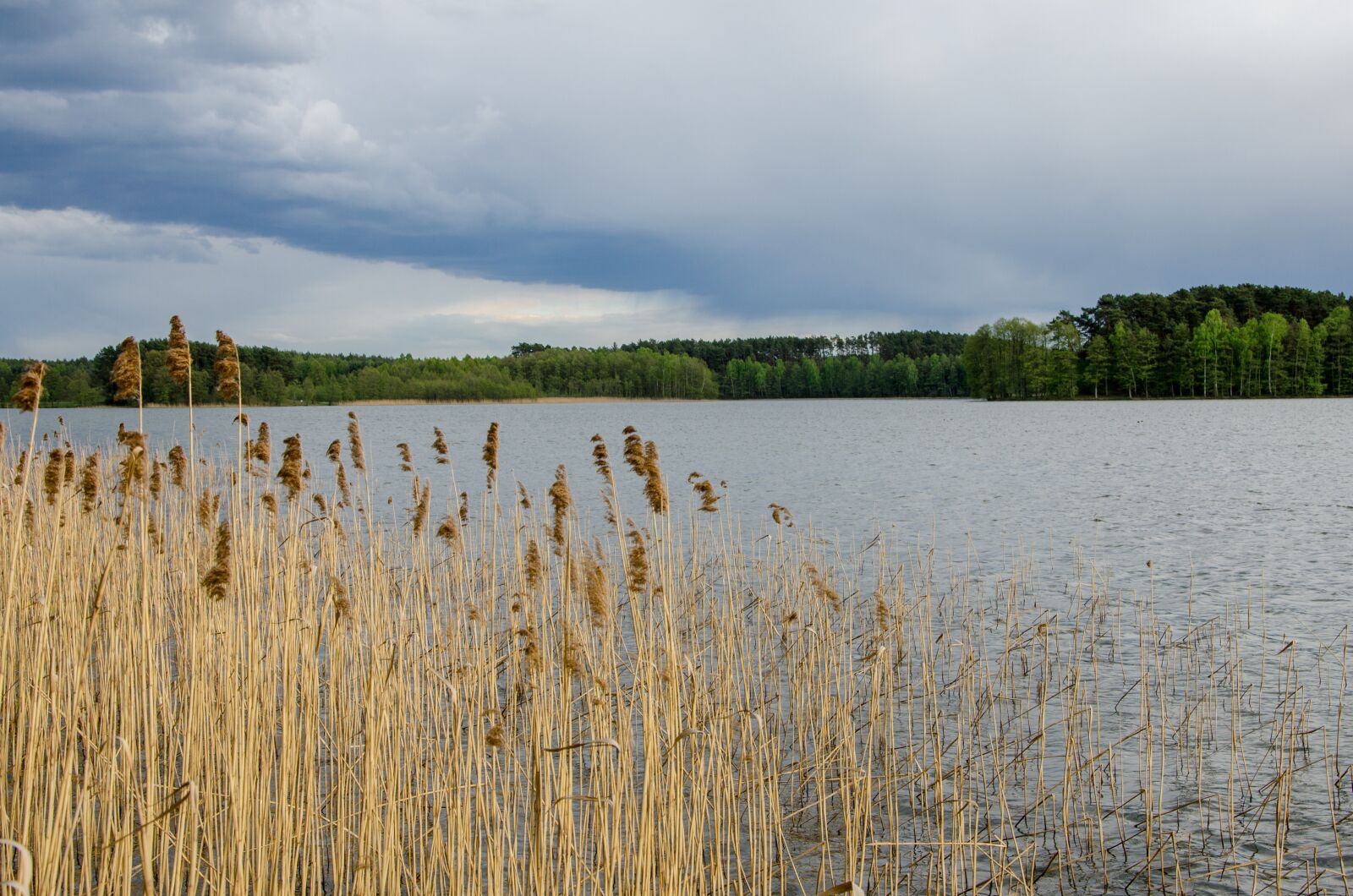 Nikon D7000 sample photo. Water, nature, on photography