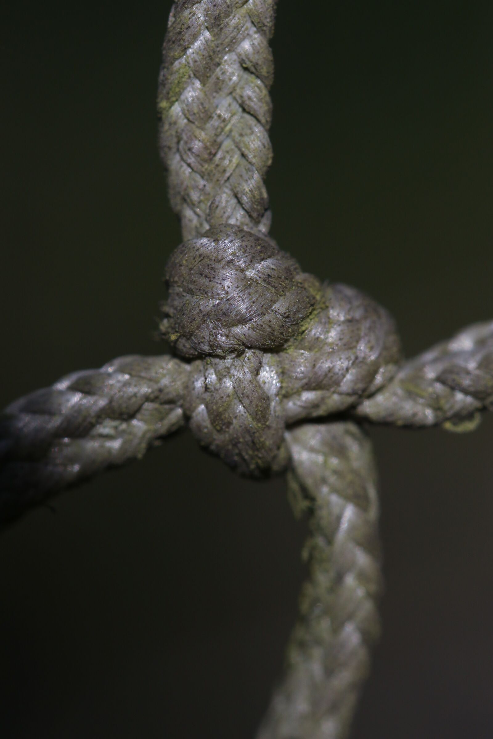 Canon EOS 7D Mark II sample photo. Rope, knot, detail photography