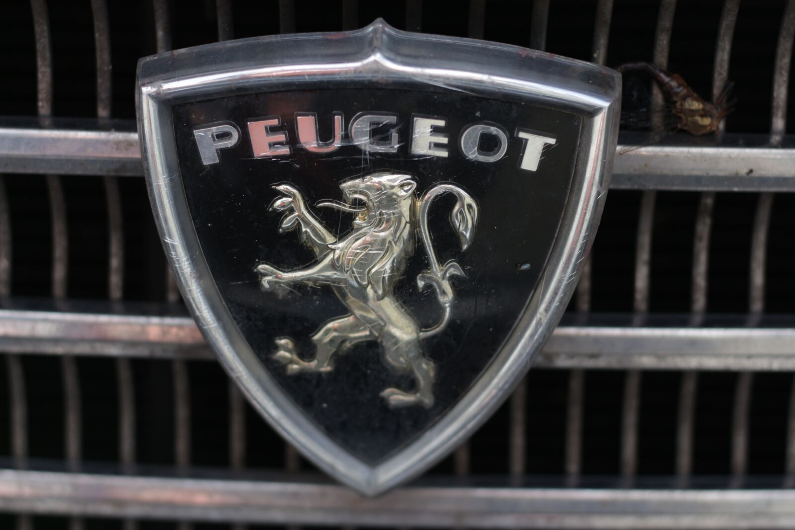 Canon EF 50mm F1.8 STM sample photo. Peugeot, car, vintage photography