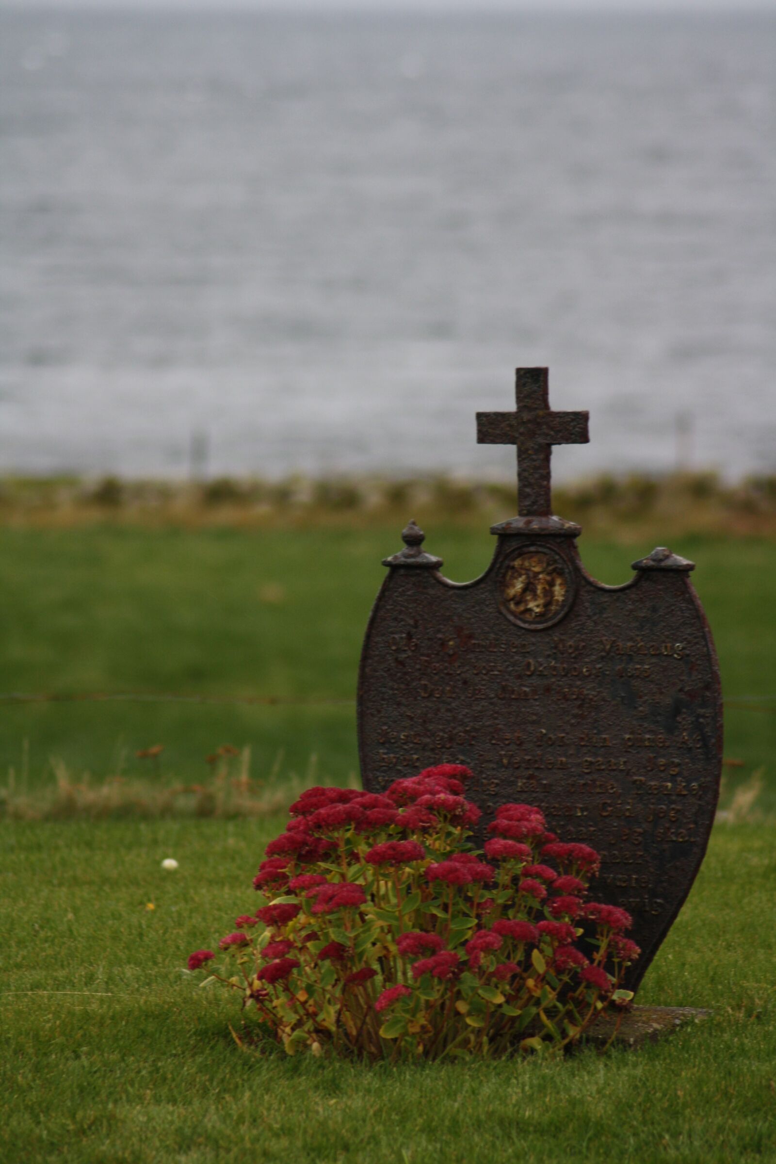 Canon EOS 1000D (EOS Digital Rebel XS / EOS Kiss F) sample photo. Grave, flowers, cross photography