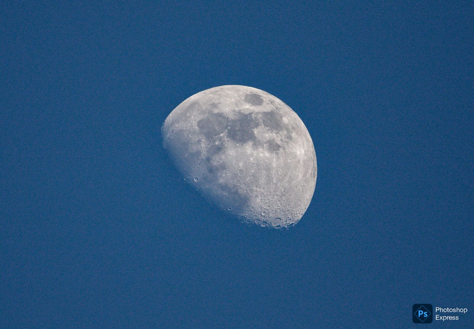 Canon EOS 7D Mark II sample photo