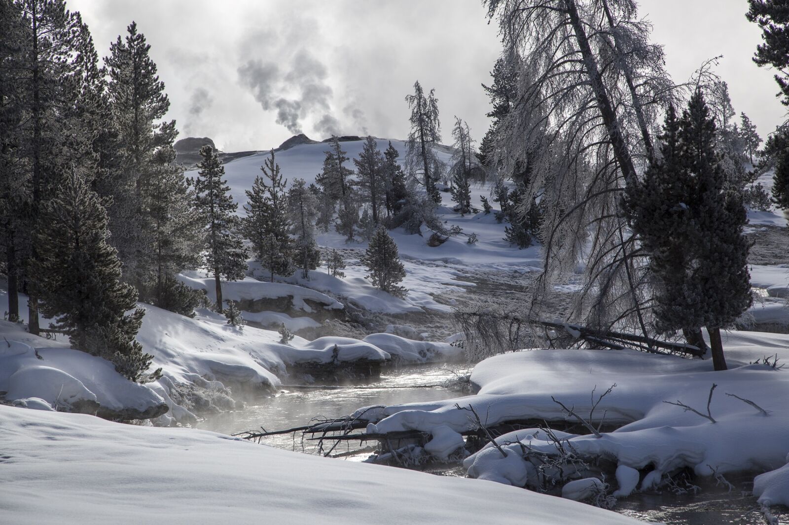 Canon EF 24-105mm F4L IS USM sample photo. Landscape, yellowstone national park photography