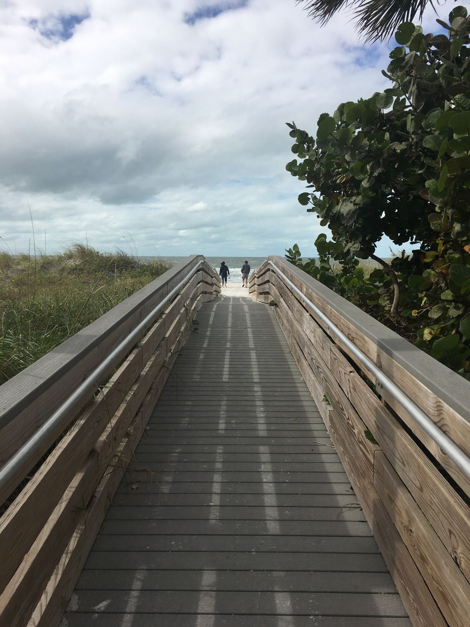 iPhone 6s Plus back camera 4.15mm f/2.2 sample photo. Path, florida, scenic photography