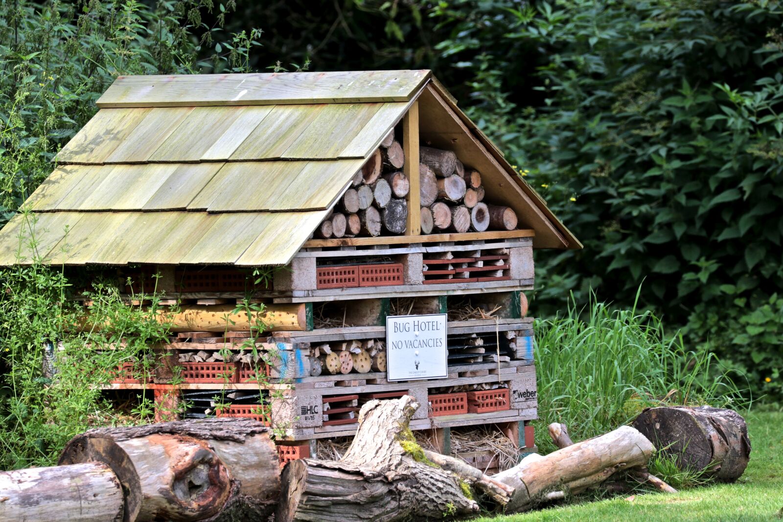 Canon EOS 7D Mark II sample photo. Bug hotel, oakley court photography