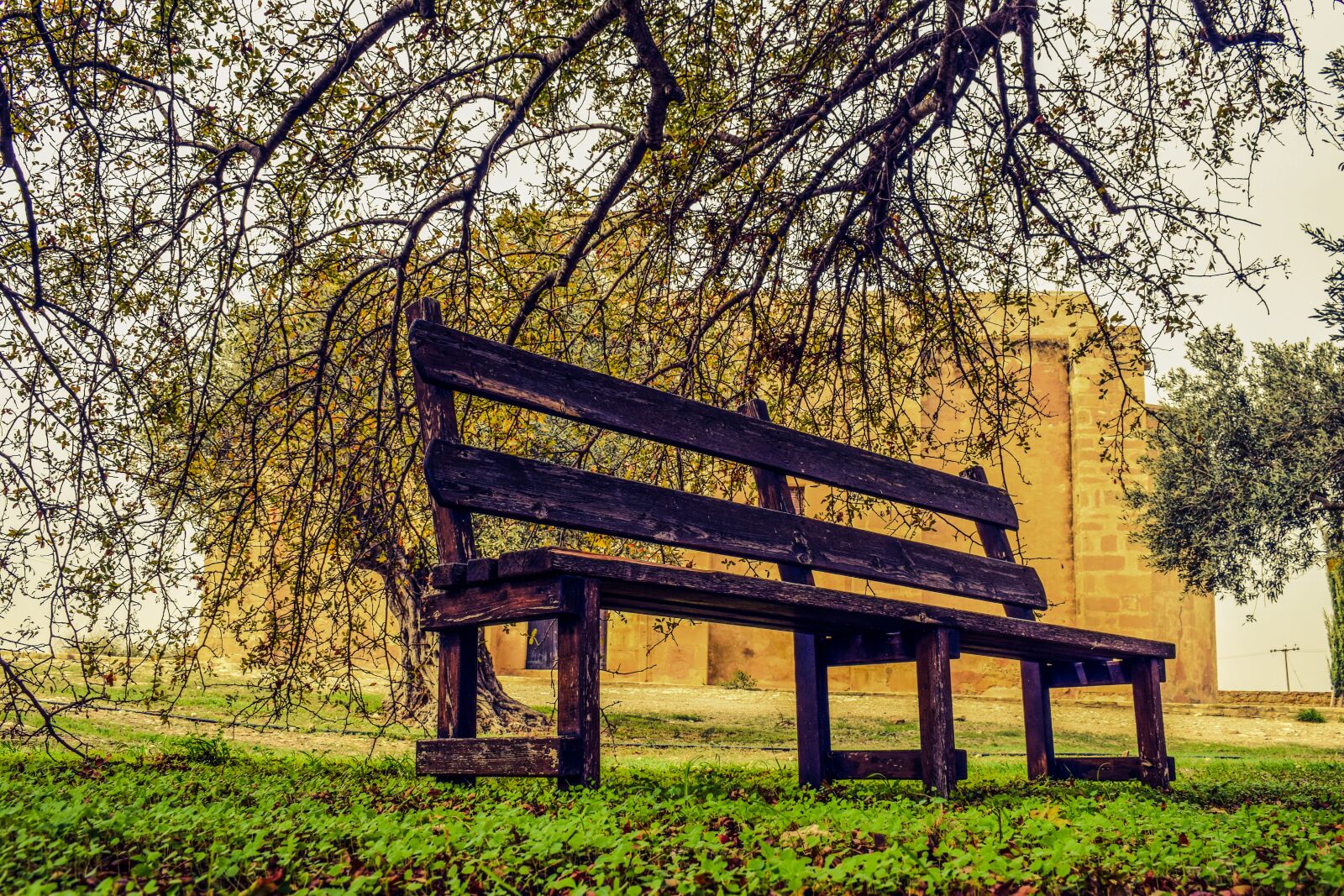 Nikon D3300 sample photo. Bench, park, autumn photography