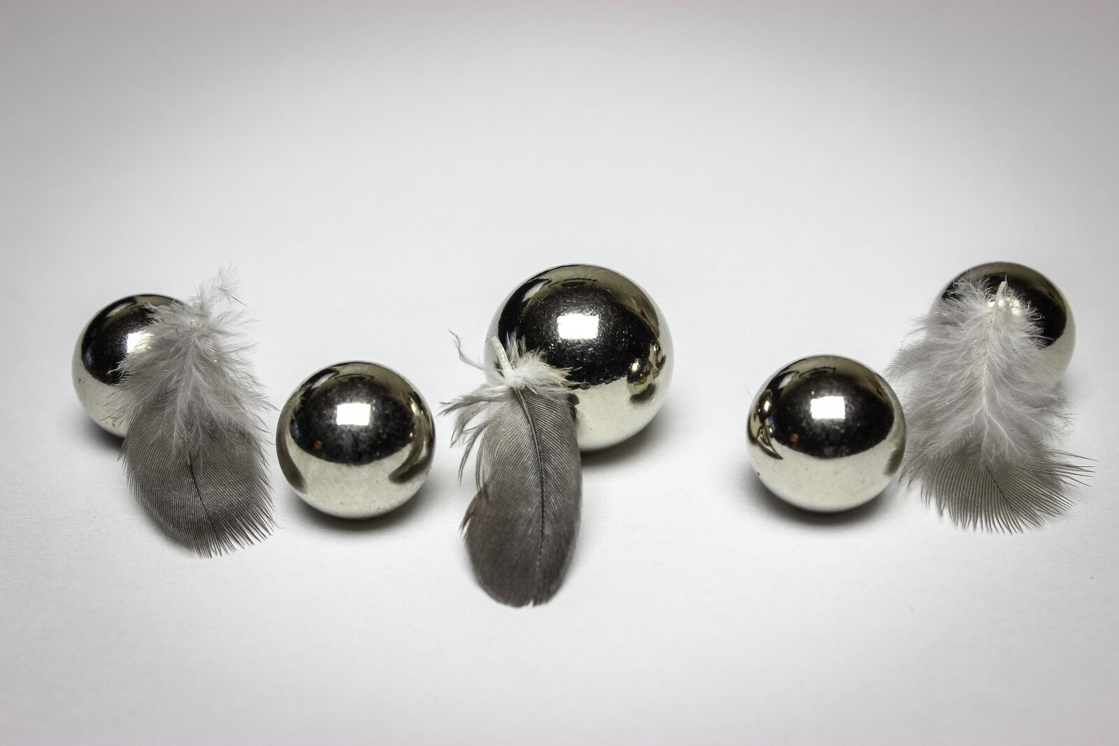 Canon EOS 600D (Rebel EOS T3i / EOS Kiss X5) sample photo. Desktop, feathers, style photography
