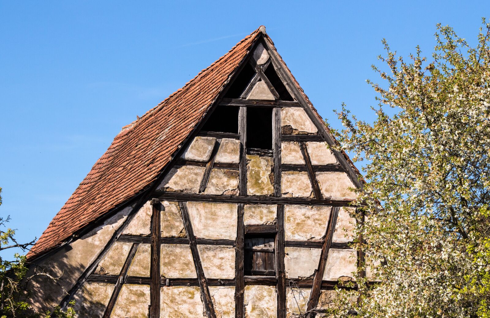 Canon EOS 700D (EOS Rebel T5i / EOS Kiss X7i) sample photo. Architecture, ammer village, truss photography