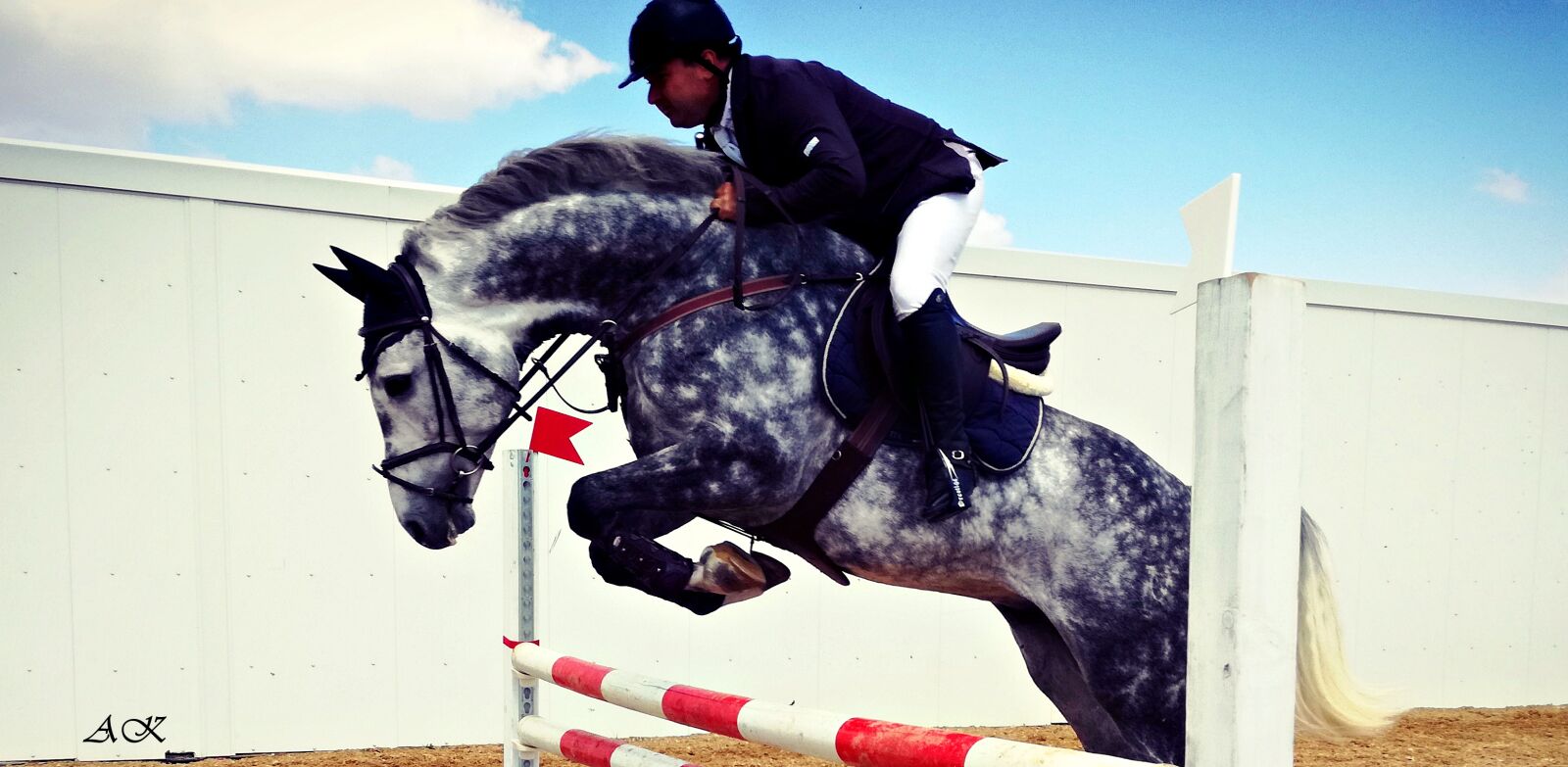 HUAWEI P9 LITE sample photo. Equestrian, gray, horse, horse photography