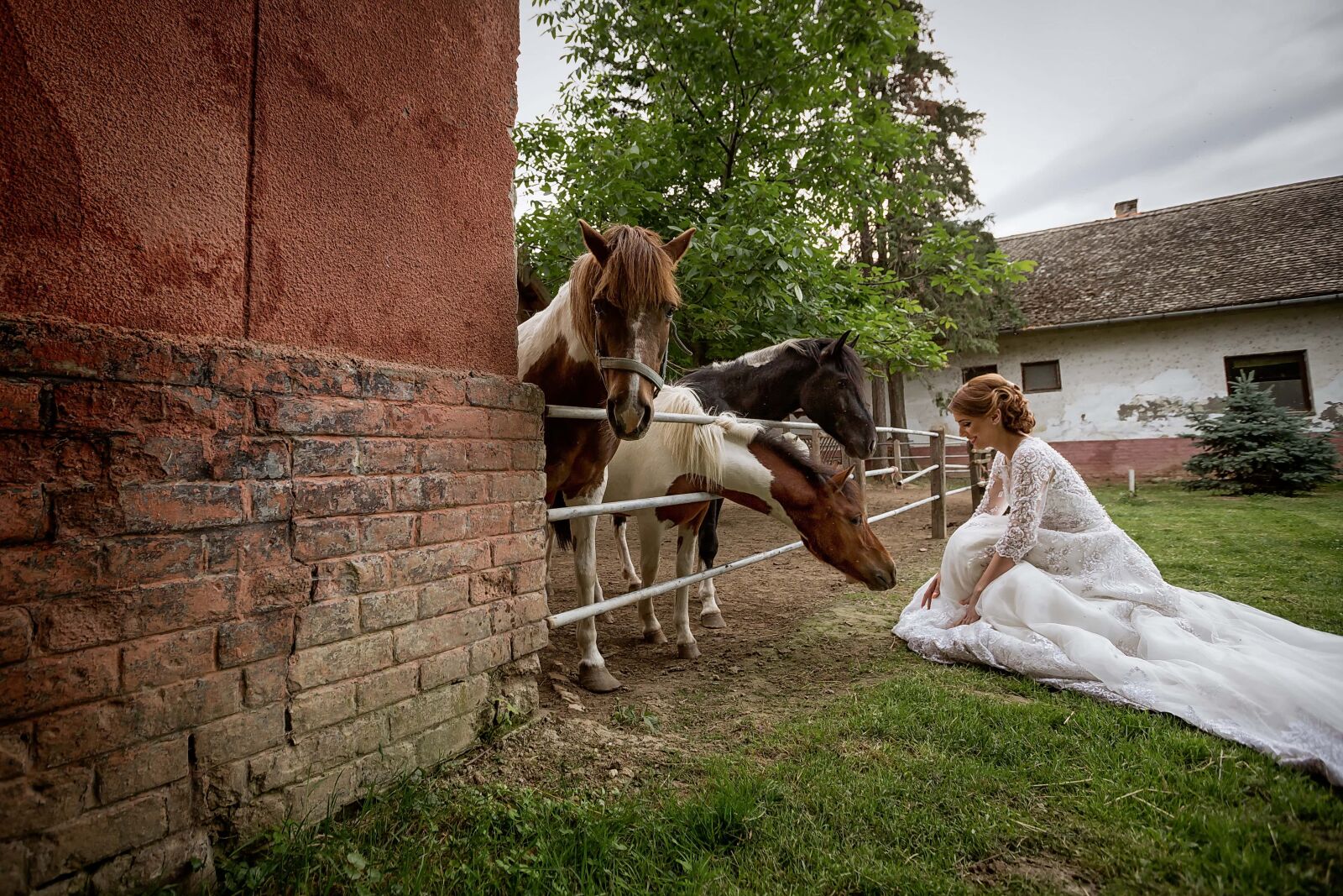 Canon EF 16-35mm F2.8L II USM sample photo. Pony, horses, wedding dress photography