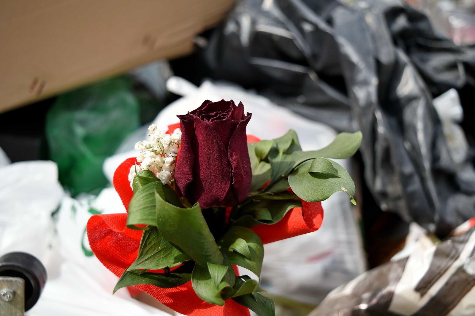 Nikon D5500 sample photo. Bouquet, garbage, junk, junkyard photography