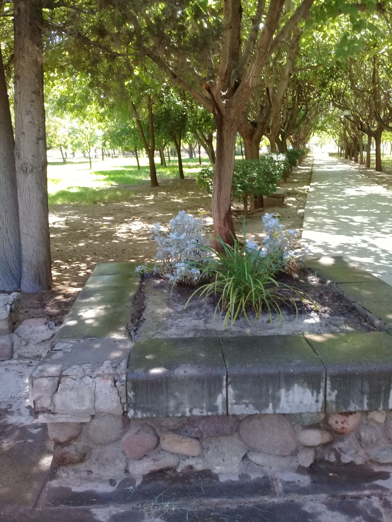 Samsung Galaxy J2 Prime sample photo. Park, mendoza, argentina photography