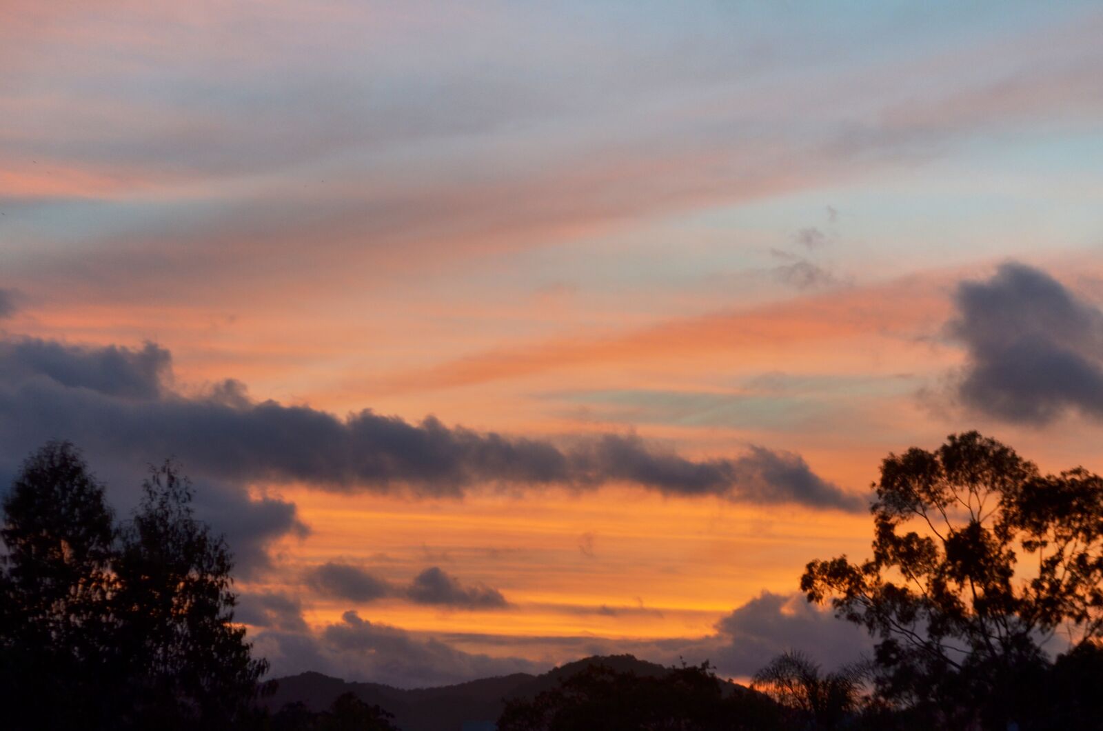 Nikon D5100 sample photo. Sky, golden hour, orange photography