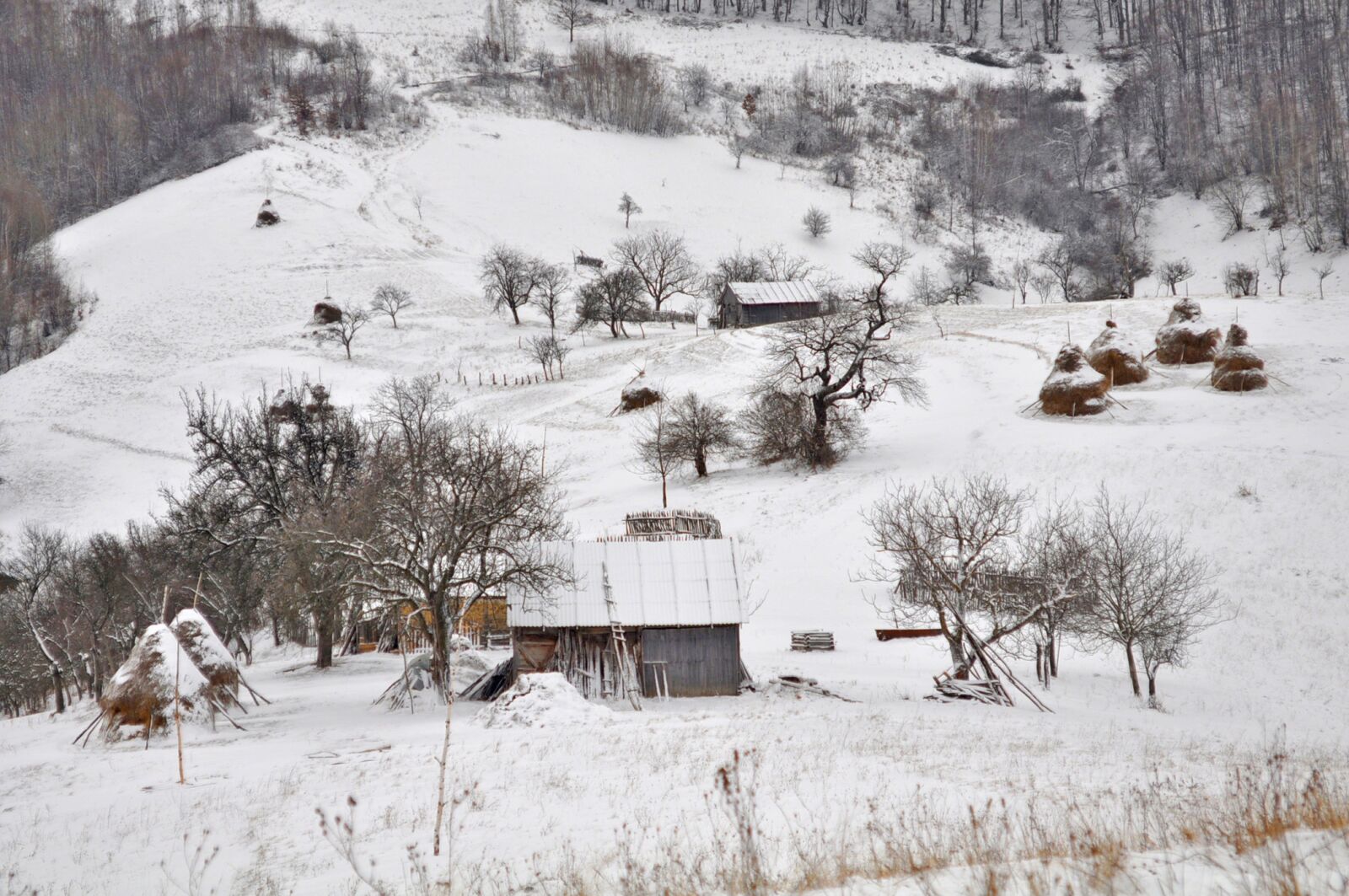 Nikon D90 sample photo. Snow, winter, cold photography