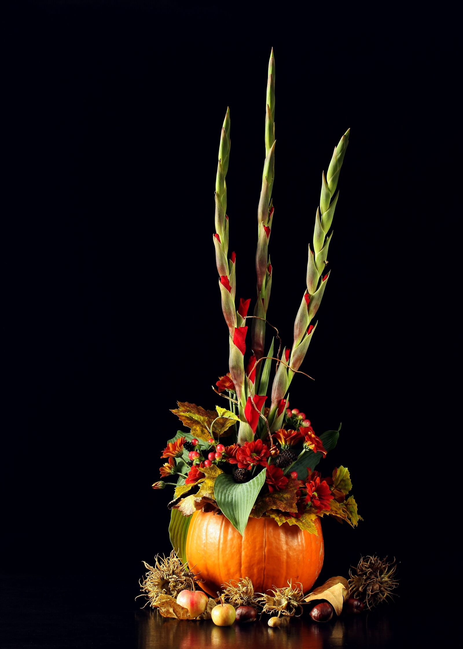Canon EOS 40D sample photo. Autumn, flowers, arrangement photography