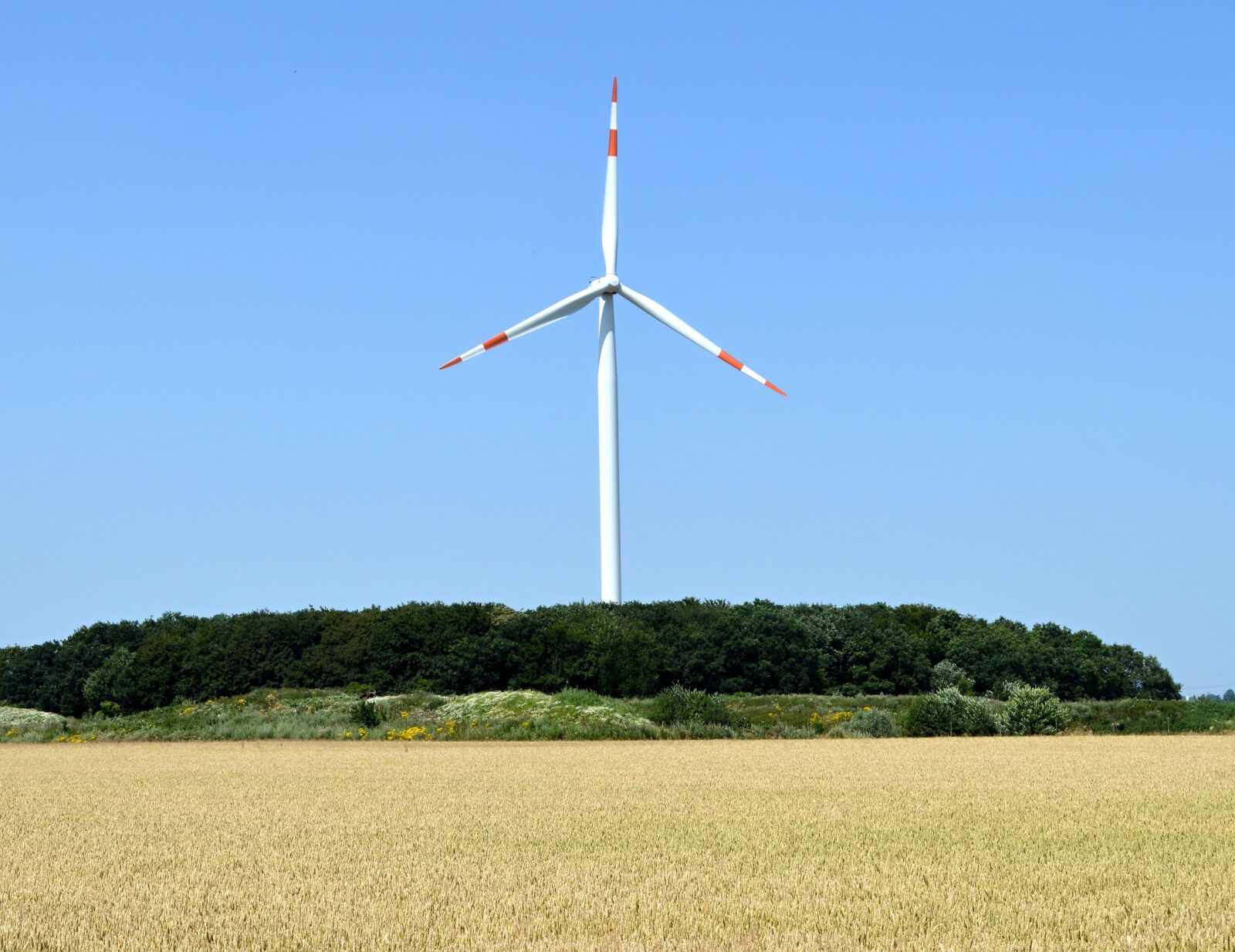 Nikon D3200 sample photo. Pinwheel, wind energy, field photography