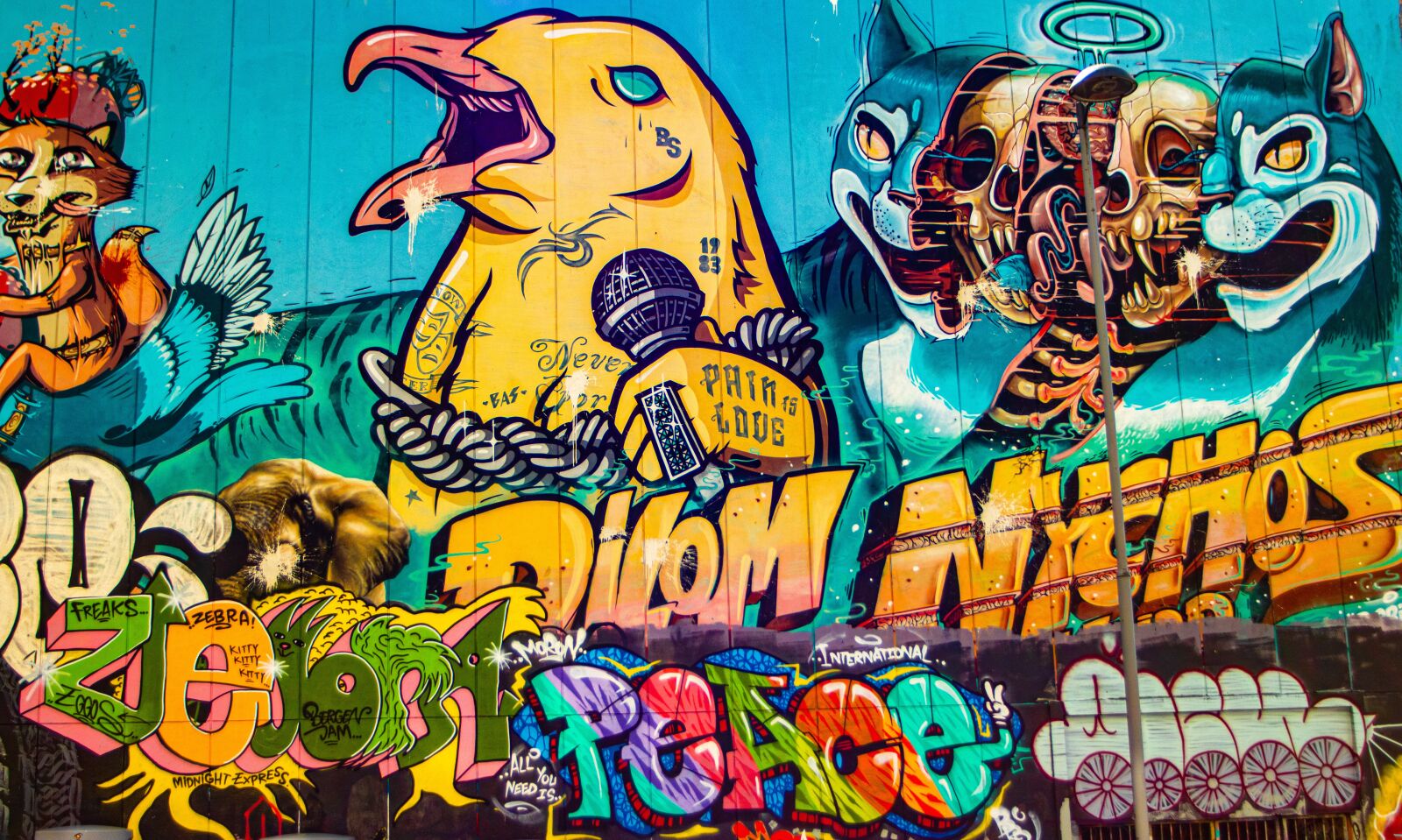 Canon EOS 80D sample photo. Graffiti, street art, mountains photography