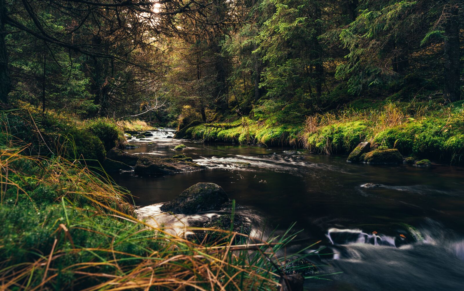 Nikon D810 sample photo. Autumn, water, stream photography