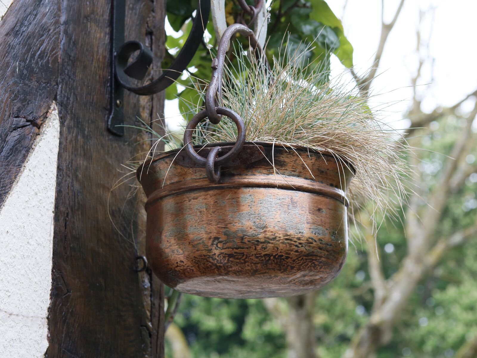 Canon EOS 750D (EOS Rebel T6i / EOS Kiss X8i) sample photo. Pot, apply, decoration plants photography